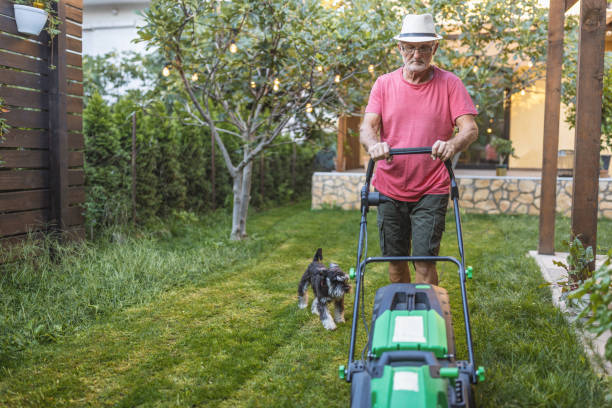 Which Lawn Mower Brand Should You Buy In 2022? Lawn Mower