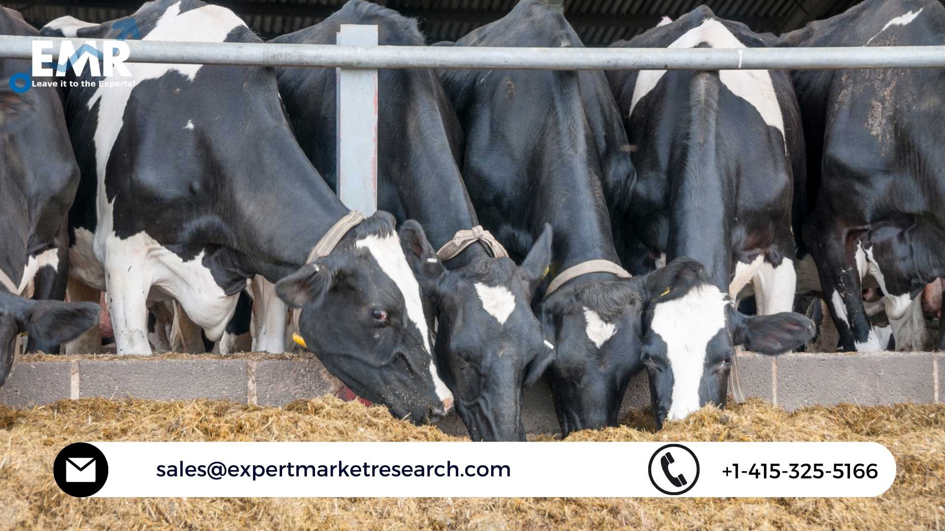 Cattle Feed Market